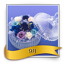 9̃o[XXg[vU[uhAWgu[YTt@CAv5,250~