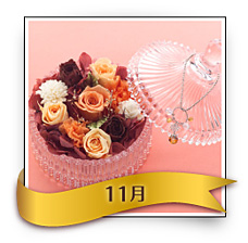 11̃o[XXg[vU[uhAWgu[Ygp[Yv5,250~
